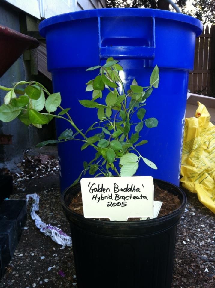 photo 480348_10151406678227285_834100684_n.jpg